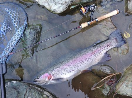 天竜川ルアーフライ専用区